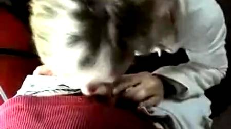 Сочный отсос в тамбуре электрички