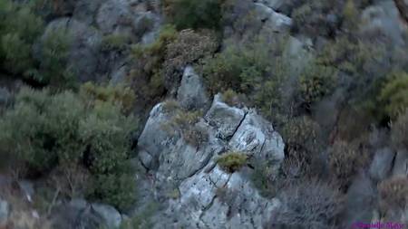 Мужик трахает на улице блондинку с шикарными огромными сиськами