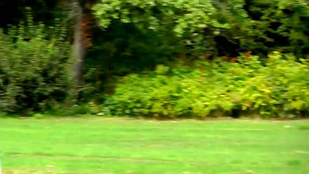 Симпатичная молодуха строчит на улице минет возбудившемуся хахалю