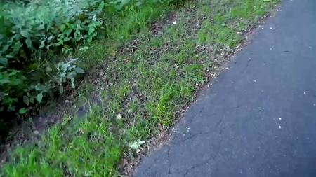 Симпатичная молодуха строчит на улице минет возбудившемуся хахалю