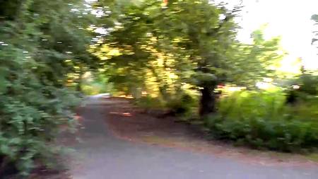 Симпатичная молодуха строчит на улице минет возбудившемуся хахалю