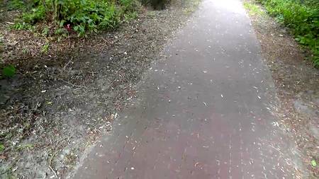 Симпатичная молодуха строчит на улице минет возбудившемуся хахалю