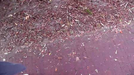 Симпатичная молодуха строчит на улице минет возбудившемуся хахалю