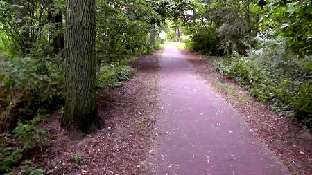 Симпатичная молодуха строчит на улице минет возбудившемуся хахалю