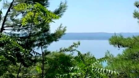 Сучка с большими сиськами сосет бойфренду в публичном месте