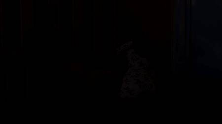 Русский пихарь ебет двух хорошеньких девиц с маленькими сиськами