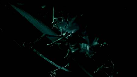 Фильм: Пираты II: Месть Стагнетти (с русским переводом)