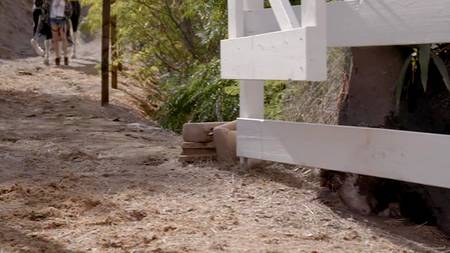 Фильм:  Плотские Утехи (с русским переводом)