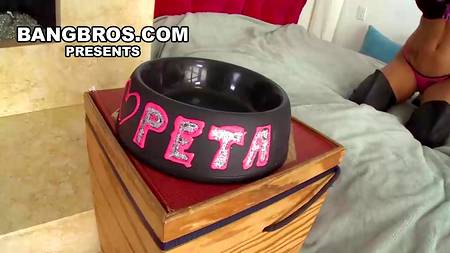 Загорелая сучка оргазмирует на члене ненасытного любовника