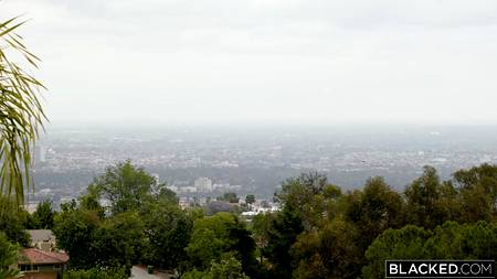 Накаченные негры дрючат белых подружек огромными болтами