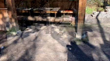 Ловелас пялит на улице стонущую сучку с шикарной задницей