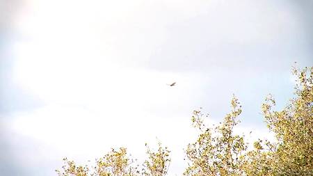 Молоденькая студентка запрыгнула в постель к взрослому кобелю