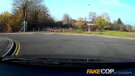 Полицейский трахнул симпатичную правонарушительницу