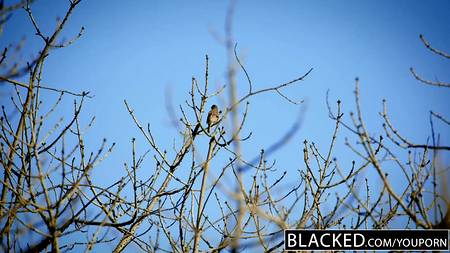 Девушка соблазнила чернокожего начальника