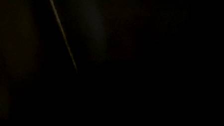 Жеребец пялит сзади сногсшибательную сучку с большой жопой