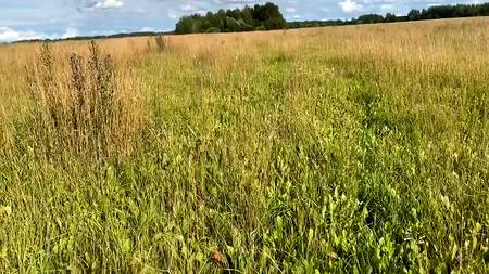 Пацан шлепает по заднице любимой во время секса на природе