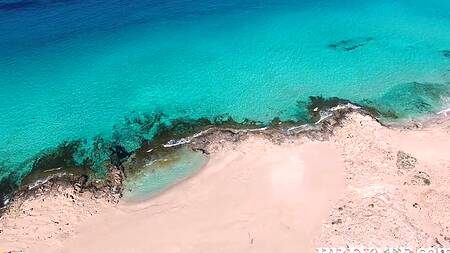 Две пары после совместного свидания занимаются групповым сексом