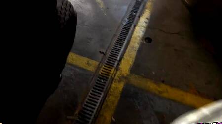 Познакомился с милой телкой на парковке и привел её к себе ебаться