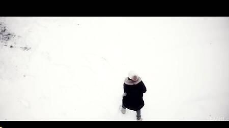 Влюбленные играют в снежки и занимаются нежным сексом