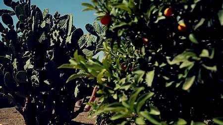 Очаровательная телка спешит к мужику на жесткий секс