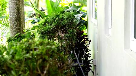 Молодая садовница приняла участие в сексе супружеской пары