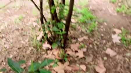 Пикапер познакомился с телкой в парке и развел её на интим