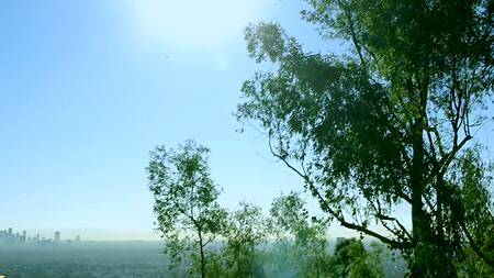 Русский парень страстно жарит двух любительниц анала