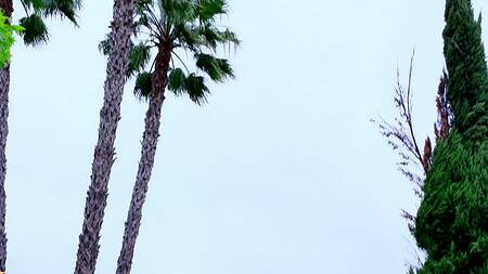 Строгий начальник отшлепал помощницу и трахнул её