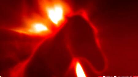 Красотка ублажает пристава, чтобы сохранить имущество