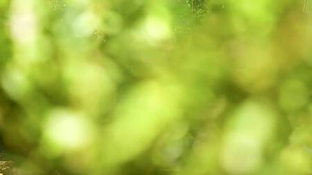 Красотка помогает девушке и вылизывает её киску