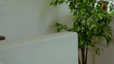 Первый опыт эротического массажа приводит к сексу