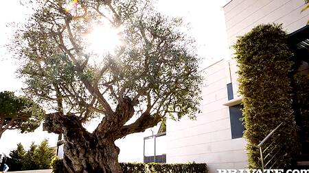 Познакомилась с родителями парня и отдалась его отцу