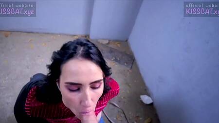 Запикапил и отодрал на улице симпатичную брюнетку