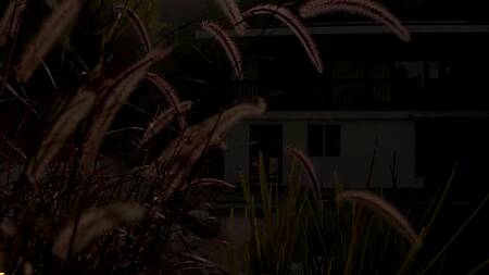 Сочная жена радует мужа страстным сексом и анилингусом