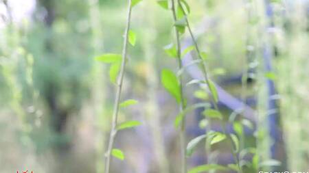 Красивая эротика с обворожительной голубоглазой девушкой