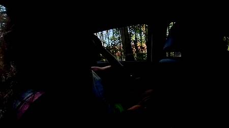 Горячие парни запикапили девку и дружно выебали нимфу в три члена