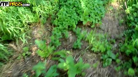 Запикапил красотку и страстно отодрал бестию на улице в парке