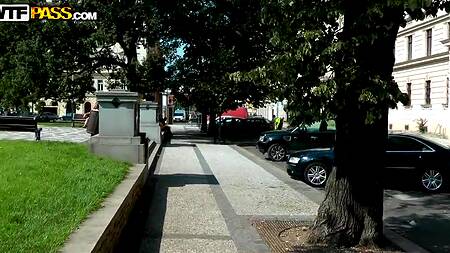 Запикапил красотку и страстно отодрал бестию на улице в парке