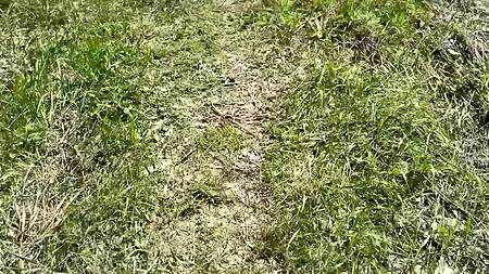 Сторож оприходовал на стройке сексуальную кралю в кожаном костюме