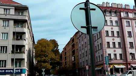 Турист запикапил брюнетку и отодрал на камеру в ближайшем парке