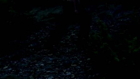 Фильм: Estivantes En Chaleur (1979)