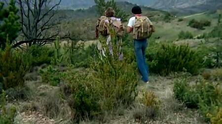 Фильм: Estivantes En Chaleur (1979)