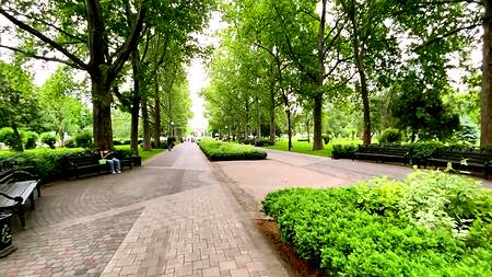 Запикапил и отодрал у себя дома рыжую красотку с огромными дойками