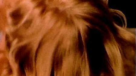 Фильм: Delires Porno (1977)