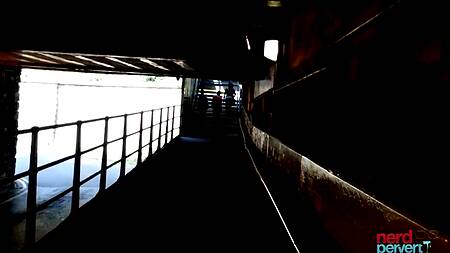 Толстуха голландского борделя высосала из члена туриста всю сперму