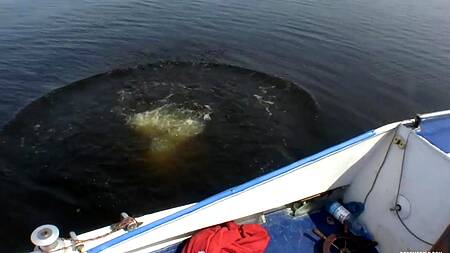 Улетное порево на яхте с русскими молодыми развратными сучками