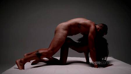 Пособие по сексу в котором межрасовая пара практикует позы камасутры