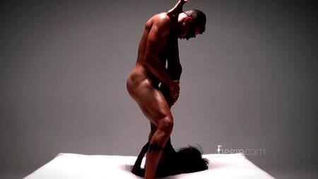 Пособие по сексу в котором межрасовая пара практикует позы камасутры