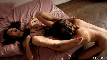 Миниатюрная брюнетка вкусила мощь большого члена трахаясь верхом от первого лица