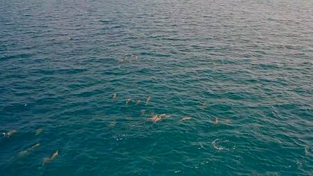 Бесстыжая русская с большими сиськами ебется раком у бассейна на Бали